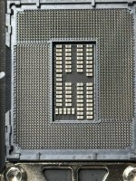IMG_8649.jpeg