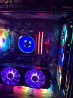 IMG_3561.jpeg