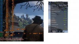rdr2.jpg