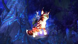 WoW_Sunwarmed_Furline_Browsing_Card_webp_80.jpg