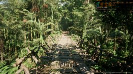 MWTropicalRainforest_2023_06_21_18_31_59_983-1x_GainRESV3_Natural.jpg