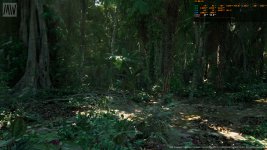 MWTropicalRainforest_2023_06_21_23_06_55_748.jpg