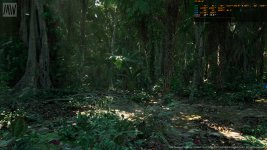 MWTropicalRainforest_2023_06_21_23_36_33_680.jpg