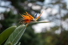 IMG_1357.jpg