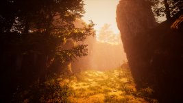 The Fabled Woods_2.jpg