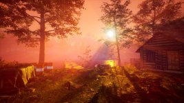 The Fabled Woods_1.jpg