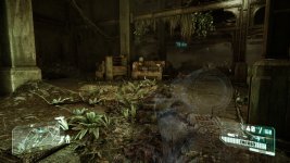 Crysis3Remastered 2023-07-02 11-57-04-1x_GainRESV3_Natural.jpg