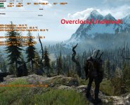 Witcher 3 OC-UV.jpg