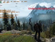 Witcher 3 UC-UV.jpg