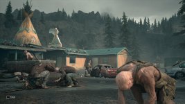 DaysGone 2023-07-08 20-50-26-1x_GainRESV3_Natural.jpg