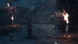 DaysGone 2023-07-08 21-51-28-1x_GainRESV3_Natural.jpg
