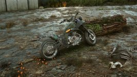 DaysGone 2023-07-09 00-24-18-1x_GainRESV3_Natural.jpg