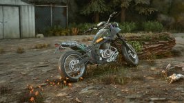 DaysGone 2023-07-09 00-27-03-1x_GainRESV3_Natural.jpg