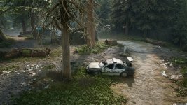 DaysGone 2023-07-09 10-20-40-1x_GainRESV3_Natural.jpg