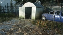 DaysGone 2023-07-09 10-55-33-1x_GainRESV3_Natural.jpg