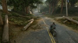 DaysGone 2023-07-09 13-14-52-1x_GainRESV3_Natural.jpg