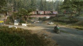 DaysGone 2023-07-09 13-56-36-1x_GainRESV3_Natural.jpg
