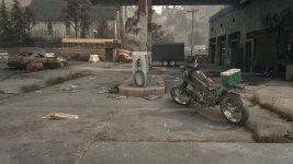DaysGone 2023-07-09 19-35-04-1x_GainRESV3_Natural.jpg