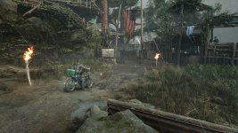 DaysGone 2023-07-09 19-36-18-1x_GainRESV3_Natural.jpg
