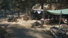 DaysGone 2023-07-11 20-00-27-1x_GainRESV3_Natural.jpg