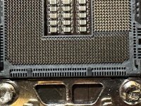 IMG_9395.JPEG