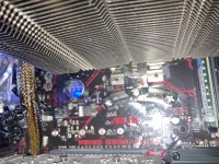 IMG_6419.jpeg