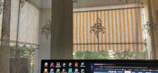 IMG_20230811_120606.jpg