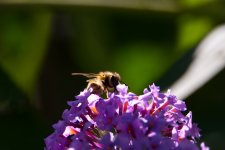2T2A3860-kleiner.jpg