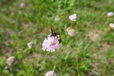 P1130149(1).jpg