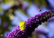 2T2A3665-Bkleiner.jpg