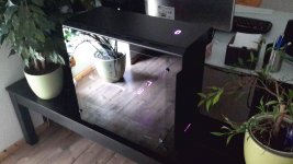 IMG-20160809-WA0002.jpg