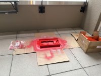 IMG_1320.jpeg