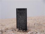 Frost 071.jpg