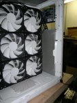 22122011052.jpg