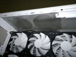 22122011053.jpg