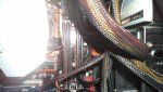 DSC01395.jpg