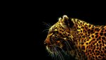 tiger.jpg
