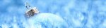 -Christmas-eve--christmas--3840x1024.jpg