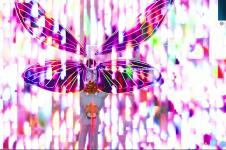 .Unbenannt.PNG