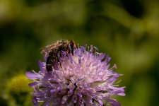 IMG_1334_Bildgröße ändern.jpg