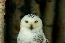 IMG_1936.jpg