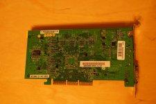 DSC01245-1.jpg