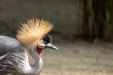 IMG_1918.jpg