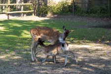 IMG_1819.jpg