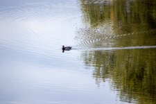 IMG_2128.jpg