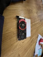 IMG_3333.JPEG