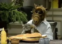 alfkatze.jpg