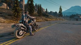 DaysGone 2023-10-17 12-24-43-1x_GainRESV3_Natural.jpg