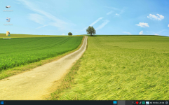 manjaro w10.png