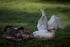 IMG_2105.jpg